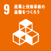 SDGS 9